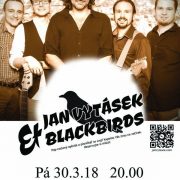 Black Birds